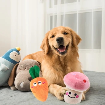5 adet Peluş Doldurma Köpek Oyuncak Bite Dayanıklı Molar İnteraktif Oyuncaklar Karikatür Yumuşak Güvenli Toksik Olmayan Taşınabilir Dayanıklı Pet Malzemeleri