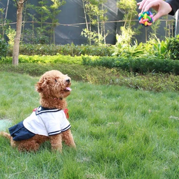 6 cm Renkli Gökkuşağı Pet Çan Topu Köpek Oyuncak Kedi Oyuncak Pet Köpek Topu Çan Çiğnemek Oyuncaklar Oyna Diş Eğitim Evcil Hayvan Ürünleri