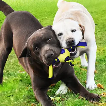 Köpek Oyuncak Taşınabilir Pet Oyuncak Yüzen Köpek Eğitim Topu Bir İp üzerinde Evcil Hayvan Malzemeleri