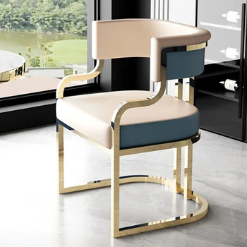 Metal Kanepe Lüks Sandalyeler Oturma Odası Modern Tasarımcı Yemek Salonu Sandalye Nordic Accent Salon Chaises De Luxe Ev Dekorasyon