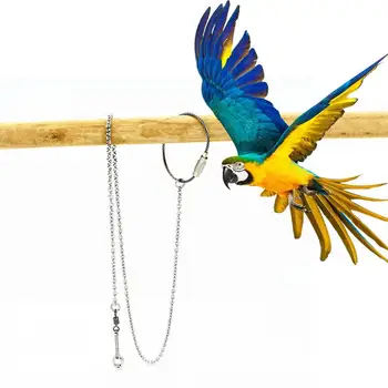 Papağan Ayak Halka Halhal Paslanmaz Çelik Kuş Zinciri Kaplan Cilt Sığırcık Şakayık Papağanının Standı Açık Ayak Halka Toka Yeni