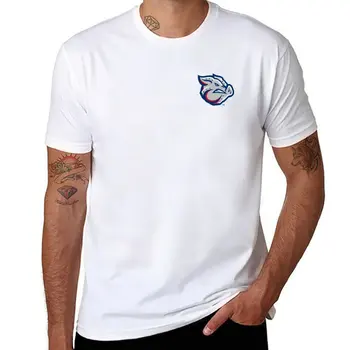 Yeni Lehigh Vadisi IronPigs T-Shirt erkek giysileri hippi giysileri yüce t shirt sevimli üstleri meyve tezgah erkek t shirt