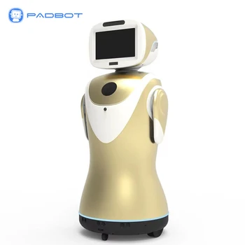 Özelleştirilmiş Soru-Cevap Akıllı Karşılama Sunucusu Cameriere Robotları Serveur Restaurant Akıllı Robot