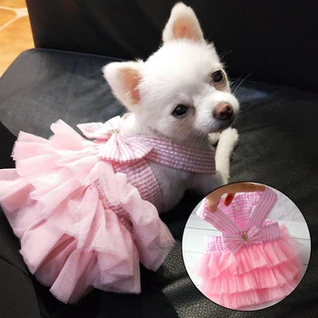 Köpek yaz elbisesi Kedi Dantel Etek Pet Giyim Chihuahua Şerit Etek Yavru Kedi Prenses Giyim Sevimli Köpek Giydirin Köpek Aksesuarları